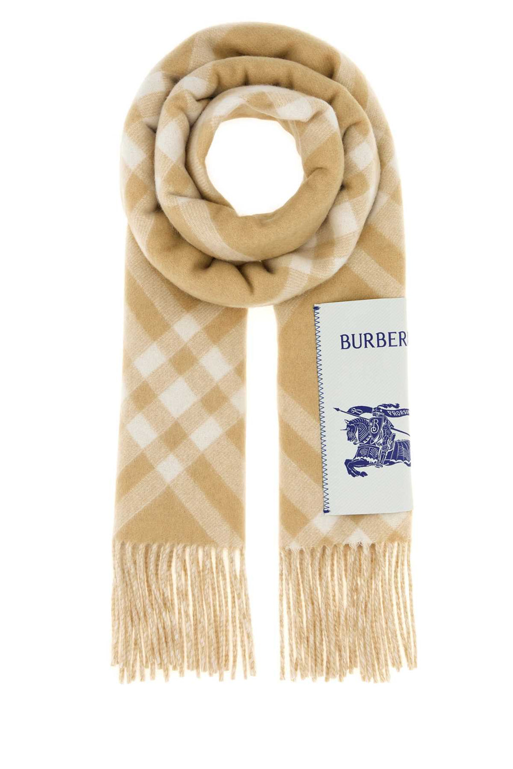 Burberry Unisex Embroidered Cashmere Scarf